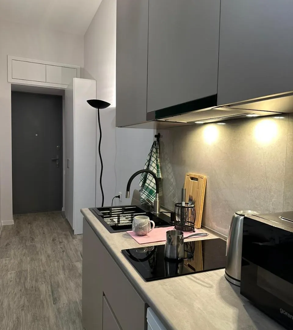 Apartment In The Center Of Tbilisi